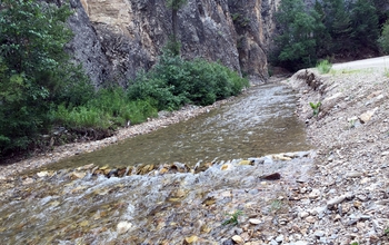 A stream in Montana